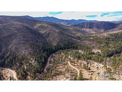 0 Cougar Dr unit 1048067, Bellvue, CO 80512 - photo 7