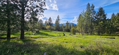 7 Tract Bull Elk, Drummond, MT 59832 - photo 5