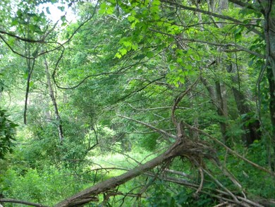 200 BLOCK Gordner Ln, Delaware Township, PA 17756 - photo 5