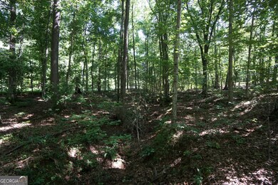 0 Springdale Dr unit 10647918, Palmetto, GA 30268 - photo 3