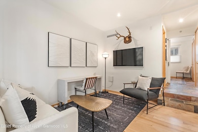 434 E Main St unit 102, Aspen, CO 81611 - photo 3