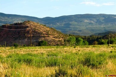 0 NW Sage Ave unit 690849, Cedaredge, CO 81413 - photo 7