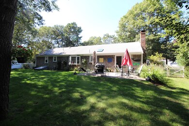 back yard 2