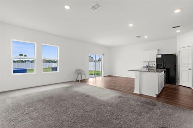 1038 Kelly Fern Loop, Ruskin, FL 33570 - photo 4