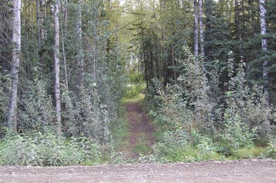 Trail to Fairview Lp