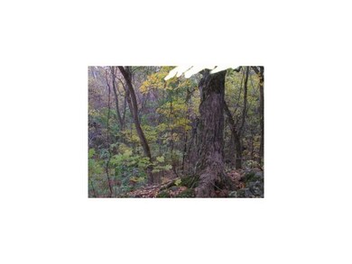 15750 E Black Oak Rd, Fayetteville, AR 72701 - photo 4