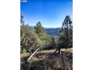 0 Forest Service Rd unit 22044352, Prairie City, OR 97869 - photo 7
