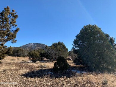 Heavily treed