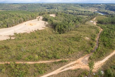 1190 County Road 950, Crane Hill, AL 35053 - photo 6