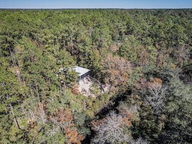 146 Fonigan Rd, Sopchoppy, FL 32358 - photo 5