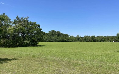 0 264th St, O'Brien, FL 32071 - photo 4