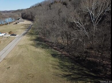 Lot 108 Cane Island Rd, Flippin, AR 72634 - photo 6