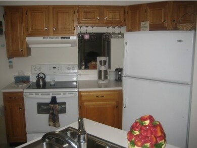 201 Crossing Dr unit 201, Woodstock, NH 03262 - photo 5