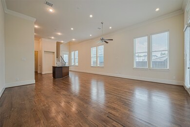 ANOTHER VIEW OF THE DEN.