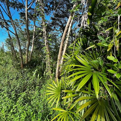 15-2777 Manini St, Hawaiian Beaches, HI 96778 - photo 3