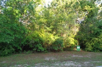 LOT 19 Fair Way, Crawfordville, FL 32327 - photo 3