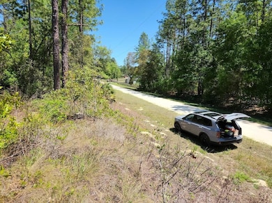 lot 5 SW 64th Ln, Ocala, FL 34481 - photo 6