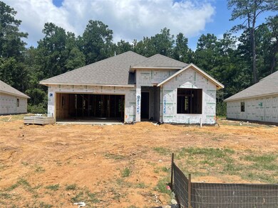 10324 Rainbow Cove Ln, Conroe, TX 77384 - photo 3