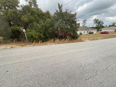 TBD SW 111th Place, Ocala, FL 34476 - photo 2