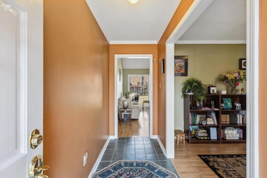 Entryway with crown molding, baseboards, and dark wood finished floors