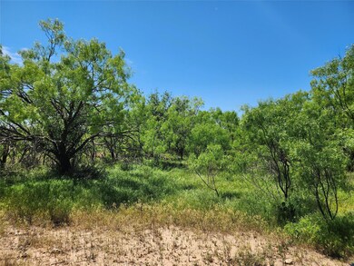 View of nature