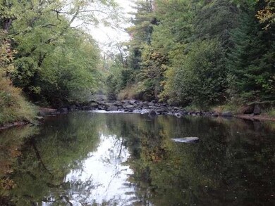 NEAR Honey Rd, Tomahawk, WI 54487 - photo 2