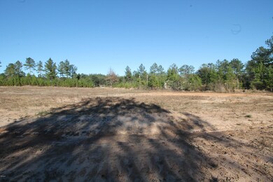 117 Hafner Ln, Lucedale, MS 39452 - photo 6