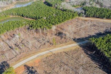 2041 Nathania Farm Rd, Lincolnton, GA 30817 - photo 4