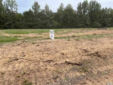 21208 Holland Rd, Athens, AL 35614 - photo 2