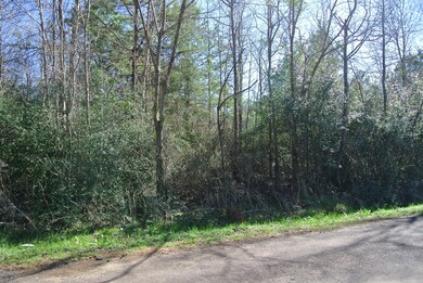 TBD C R 3257, Garrison, TX 75946 - photo 4