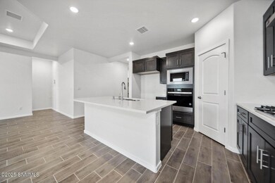 6047 Tin Hill St, Sunland Park, NM 88008 - photo 6