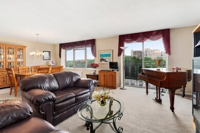 Imperial Towers unit 903, Chestnut Hill, MA 02467 - photo 5