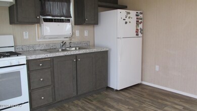 9096 S Fillmore Rd, Tucson, AZ 85736 - photo 4