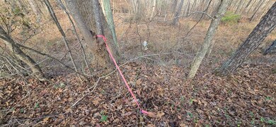 00001 Georgia 369, Ball Ground, GA 30107 - photo 5