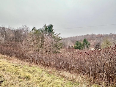 Lot 1 County Rd M, Clifton Township, WI 54022 - photo 2
