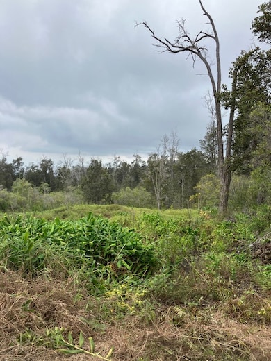 0 Catamaran Ln unit 723953, Ocean View, HI 96737 - photo 6