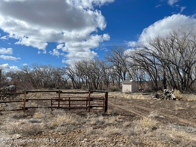 IMG-7320