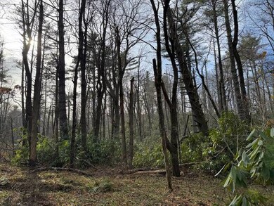 001 Joe Poore Rd, Newland, NC 28657 - photo 7