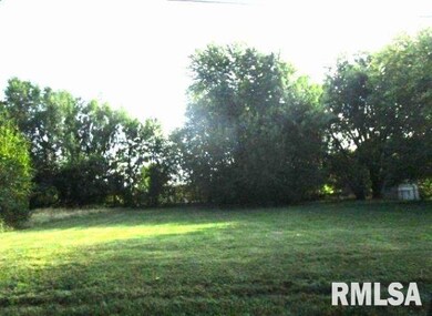 521 N West Ave, Mason City, IL 62664 - photo 2