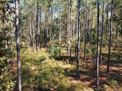 781 Sand Country Rd, Jefferson, TX 75657 - photo 6