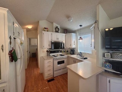 3403 E Main St unit 1918, Mesa, AZ 85213 - photo 5