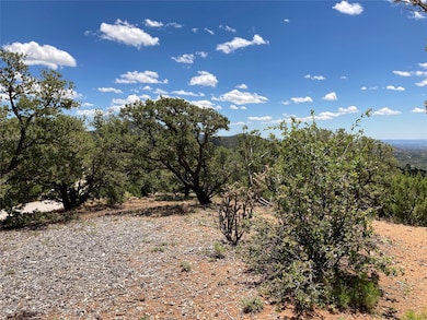 215 Double Arrow Rd, Santa Fe, NM 87505 - photo 3