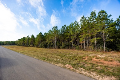 Paved street for easy access