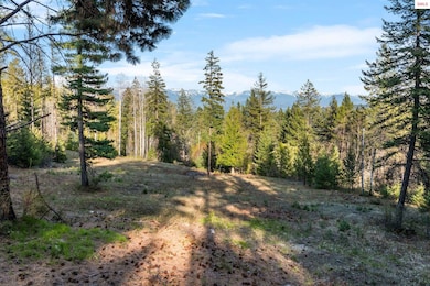 Lot B Spring View Ln, Sagle, ID 83860 - photo 6
