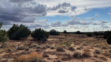 IMG_9892 (1)