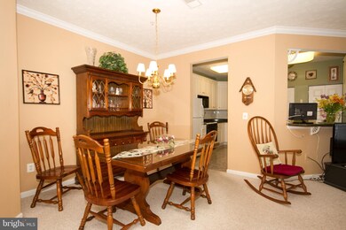 509 Cider Press Ct unit H, Joppa, MD 21085 - photo 5