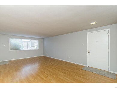 Large window keeps it bright!