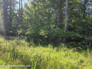 0 Stone Mountain Rd unit 20250692, Round Top, NY 12473 - photo 7