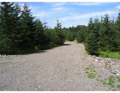 00 Cleaves Rd, Easton, ME 04740 - photo 3