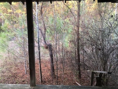 0 Tommy McGough Rd, Nauvoo, AL 35578 - photo 5